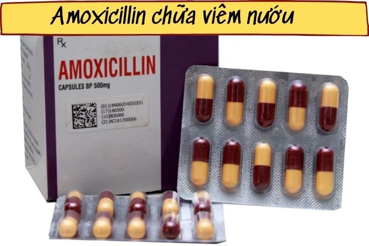 Amoxicillin-chữa-viêm-nướu.webp