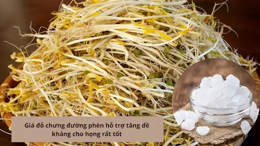 gia-do-chung-duong-phen-rat-giau-vitamin-ho-tro-lay-lai-giong-noi-hieu-qua.webp