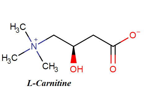 l-carnitine.png