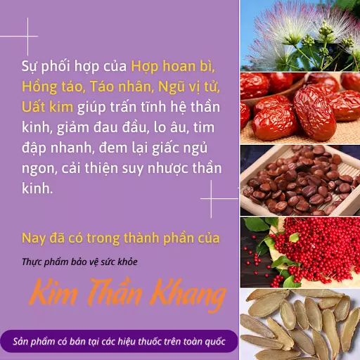 Kim-Than-Khang-Giai-phap-uu-viet-cho-nguoi-suy-nhuoc-than-kinh