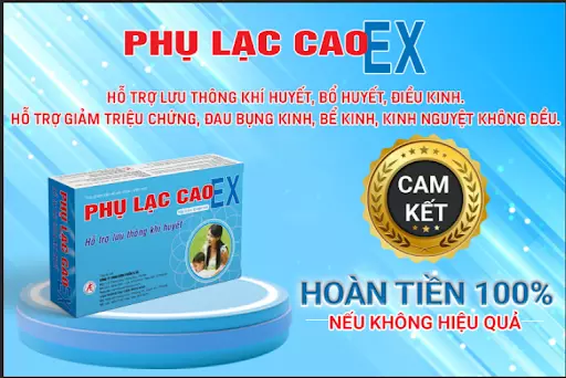 phu-lac-cao-ex-cam-ket-hoan-tien-neu-khong-hieu-qua