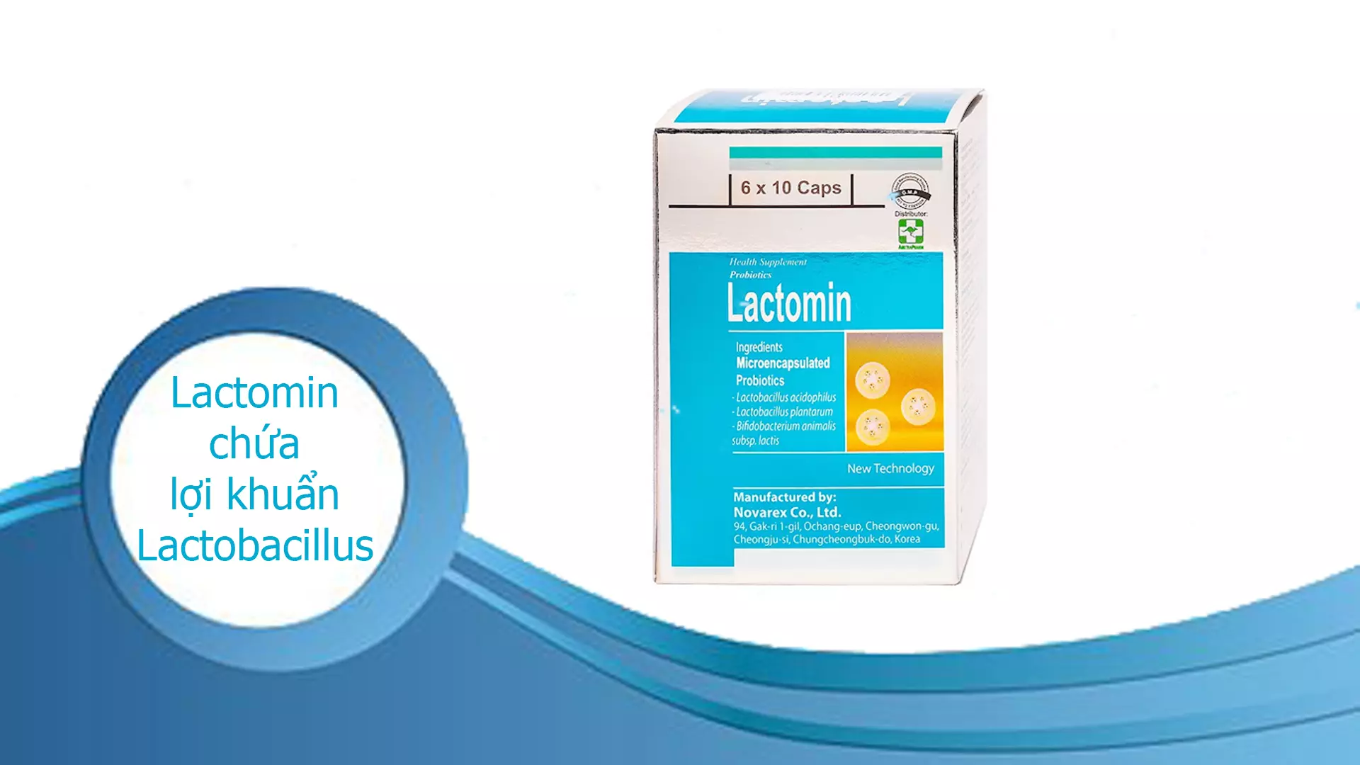 Lactomin là men vi sinh có chứa lợi khuẩn Lactobacillus