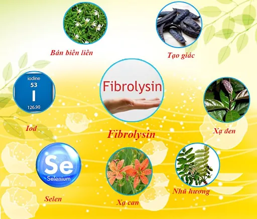 Fibrolysin kết hợp với nhiều thảo dược khác giúp hỗ trợ điều trị viêm phổi hiệu quả