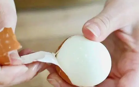 Màng vỏ trứng chứa collagen type 1 hỗ trợ tái tạo và phục hồi dây chằng khớp nhanh chóng hơn 