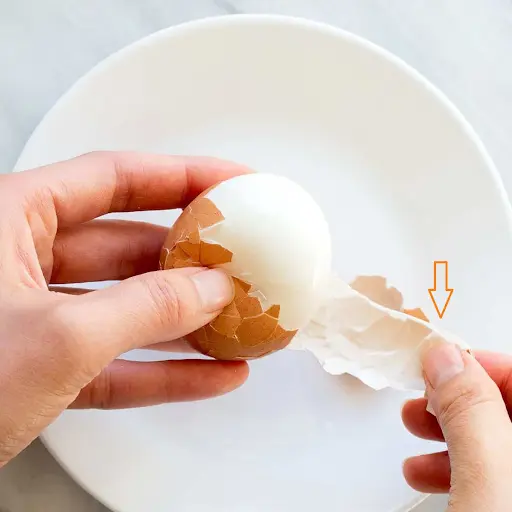 Màng vỏ trứng chứa nhiều dưỡng chất quan trọng giúp phục hồi sụn chêm nhanh chóng hơn