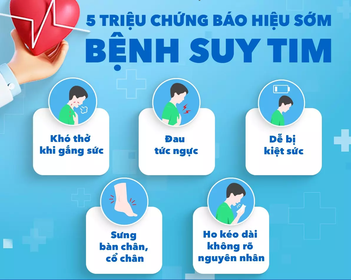 Phân loại, chẩn đoán và điều trị suy tim mạn tính