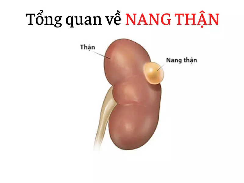 Tổng hợp thông tin về 