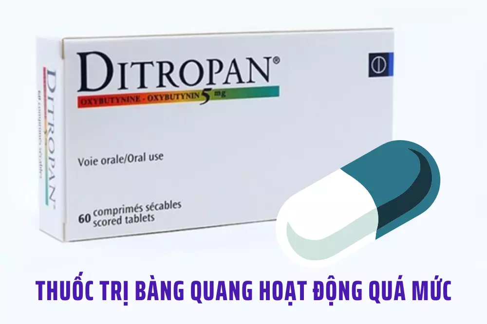 oxybutynin-duoc-su-dung-cho-tinh-trang-bang-quang-hoat-dong-qua-muc.webp