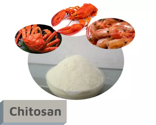 Chitosan chiết xuất từ vỏ tôm, cua giúp tái tạo vùng da bị tổn thương nhanh chóng