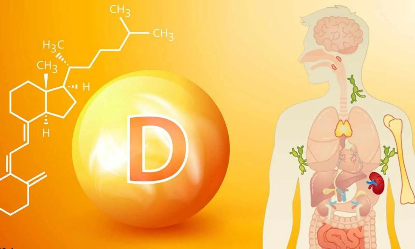 Sự thiếu vitamin D làm tăng nguy cơ mắc bệnh tự miễn