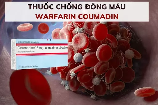 thuoc-warfarin-duoc-su-dung-cho-cac-truong-hop-lien-quan-den-dong-mau.webp