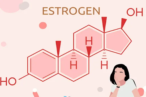 Suy giảm estrogen là nguyên nhân chính dẫn đến bốc hỏa