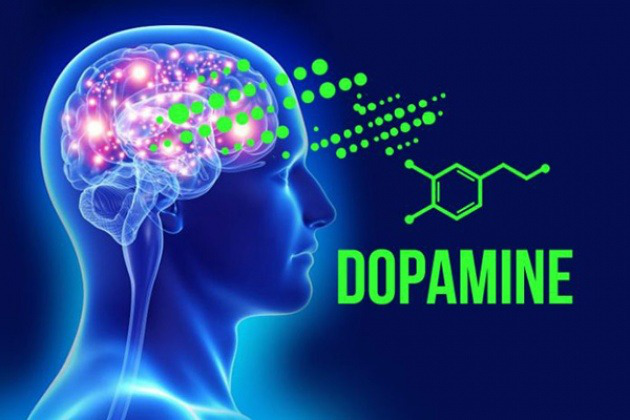 Quá nhiều Dopamine khiến cơ thể dễ mất kiểm soát