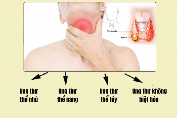 Các nghiên cứu và tiến bộ y học