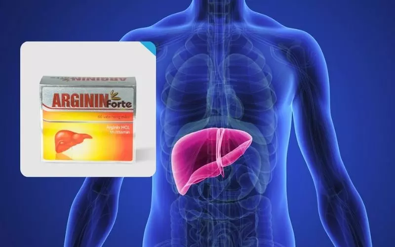 Các khuyến cáo về thuốc Arginin Forte tăng cường chức năng gan