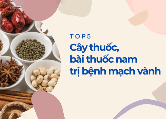 4. Cách Dùng Thuốc Nam Hiệu Quả