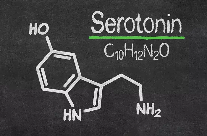 Serotonin-la-chat-hoa-hoc-trong-nao-bo-thuc-hien-nhiem-vu-chuyen-tiep-tin-hieu-giua-cac-te-bao-than-kinh