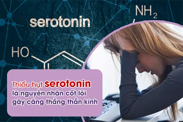 Serotonin-la-nguyen-nhan-sau-xa-dan-den-suy-nhuoc-than-kinh-roi-loan-lo-au