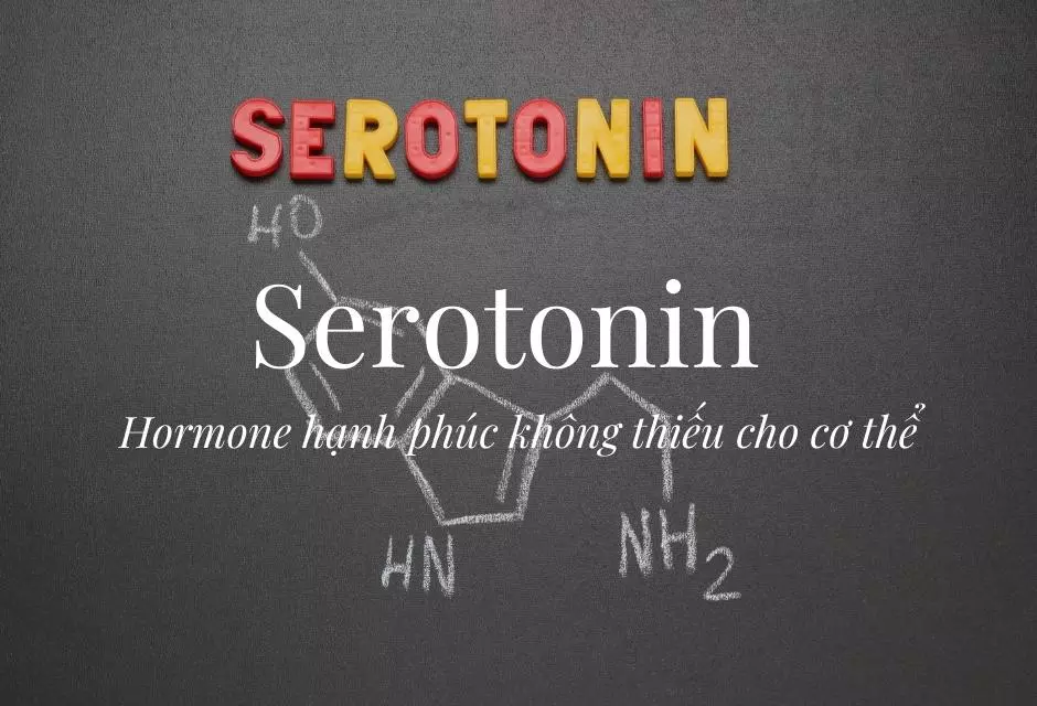 Serotonin là gì? Những điều bạn cần biết về hormone serotonin