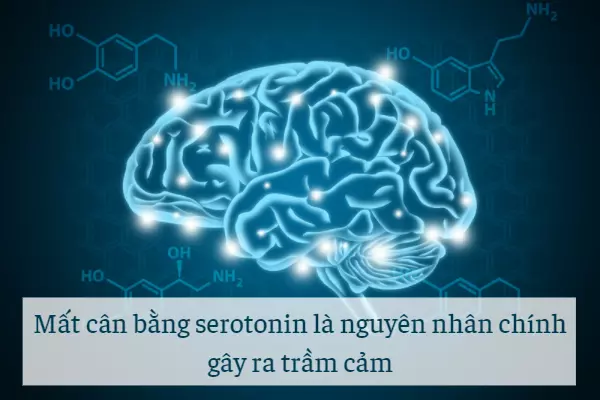 Nguyen-nhan-cot-loi-gay-ra-chung-benh-tram-cam-la-do-mat-can-bang-nong-do-serotonin.