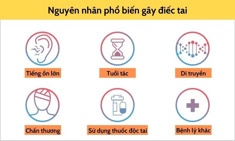 mot-so-nguyen-nhan-gay-diec-tai-pho-bien