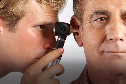 kim thính - hỗ trợ điều trị suy giảm thính lực (Ảnh minh họa)