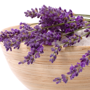 hoa-lavender-giup-co-the-thu-gian-rat-tot