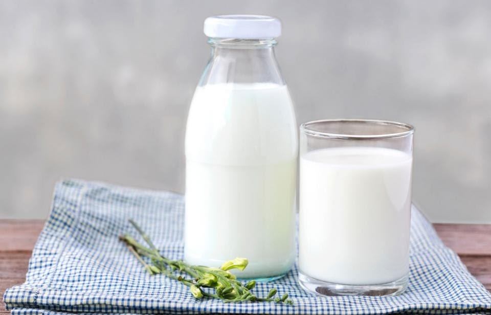  Khi bị sốt xuất huyết có nên uống sữa không?
