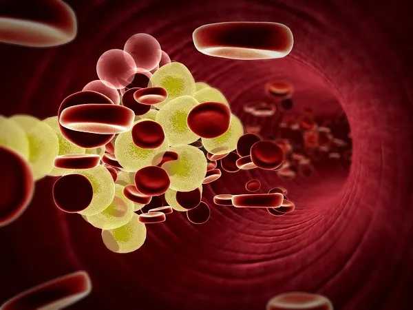  Định lượng cholesterol toàn phần máu là gì?