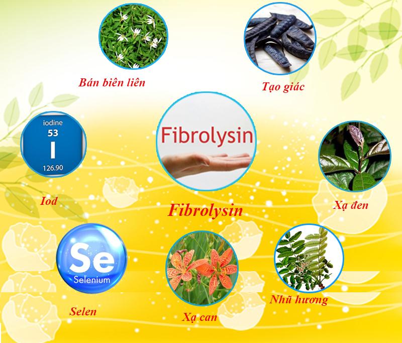   Fibrolysin kết hợp với các thảo dược quý  giúp chống tái cấu trúc, tác động vào nguyên nhân cốt lõi gây ho