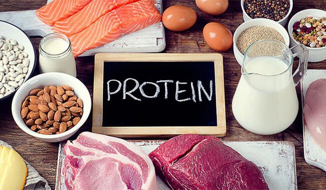 Bổ sung protein vào bữa ăn cho người bị rối loạn thần kinh thực vật