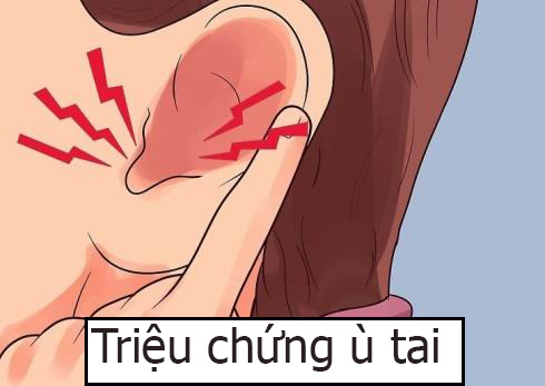 Tài liệu tham khảo và nguồn thông tin