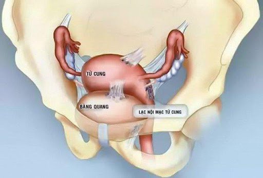 10. Tài liệu tham khảo và nguồn tin uy tín