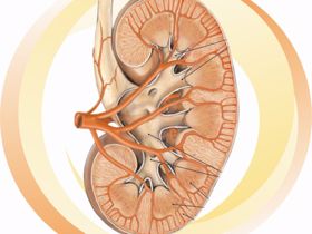 Phát hiện sớm suy thận, điều trị kịp thời