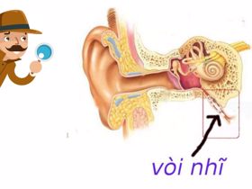 Tắc vòi nhĩ - Nguyên nhân gây ù tai không thể bỏ qua