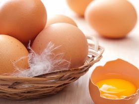Giải đáp thắc mắc: Những người bị sỏi thận có nên ăn trứng không?