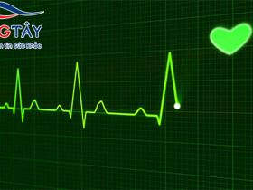 Phần mềm phân tích điện tim, giúp ngăn ngừa rối loạn nhịp tim