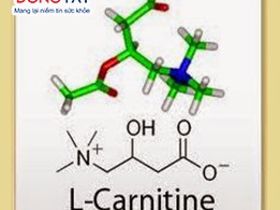 Tác dụng của L- Carnitine đối với các bệnh tim mạch