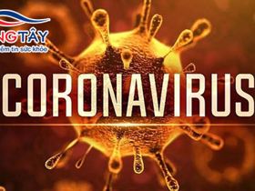 Các biện pháp phòng tránh dịch viêm phổi Vũ Hán do Coronavirus