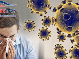 Triệu chứng của Covid-19: Chớ nhầm với cảm cúm, cảm lạnh