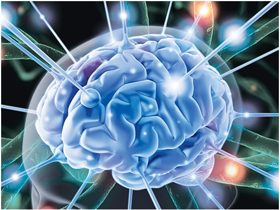 Hội chứng tiểu não và những điều cần biết