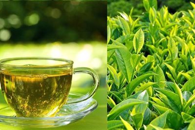 Cách chữa bệnh vảy nến bằng trà xanh - Cách hay đừng bỏ qua!