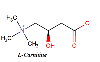 Nghiên cứu tác dụng của L-carnitine đối với cơ thể