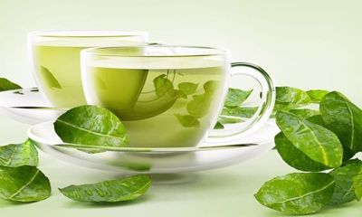 Nghiên cứu về tác dụng của trà xanh với bệnh tự miễn