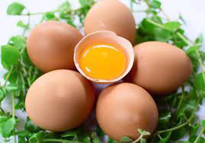 Người bị bệnh gút có được ăn trứng không?