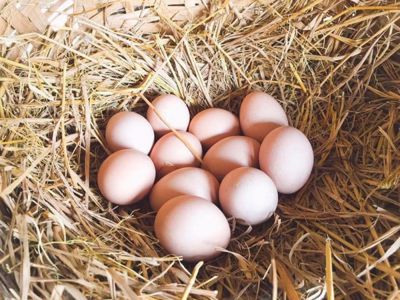 Canh trứng gà ngải cứu tốt cho phụ nữ đau bụng kinh