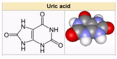Acid uric- Nguyên nhân gây bệnh gút