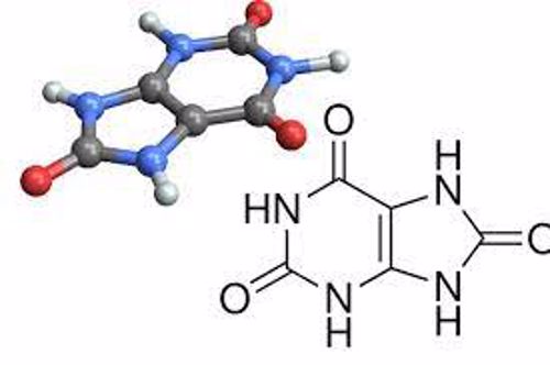 Ai có chỉ số acid uric 520 micromol/lít