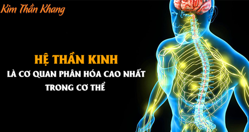 TOP 3 CHẤT LÀM SUY GIẢM CHỨC NĂNG HỆ THẦN KINH - XEM NGAY! 