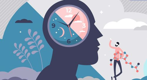 Mối liên hệ của giấc ngủ và hoạt động não bộ